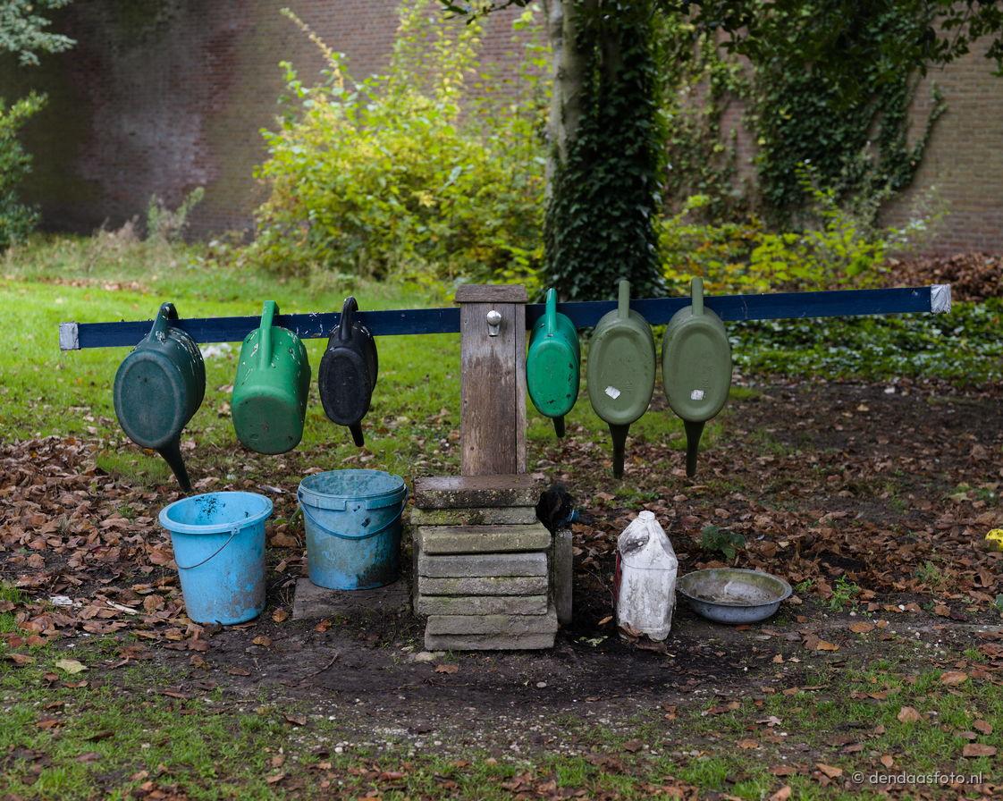 den daas visual photography